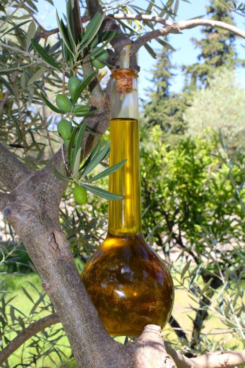 Paraiso Rural Orgiva Εξωτερικό φωτογραφία